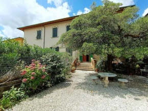 Just outside the Wall: Free A/C, Bikes and WiFi Lucca